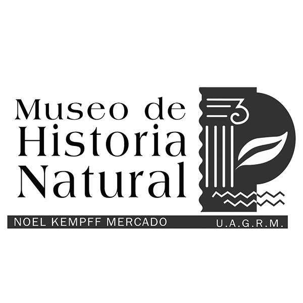 Museo de Historia Natural Noel Kempff Mercado - Uagrm: 3 actividades en ...